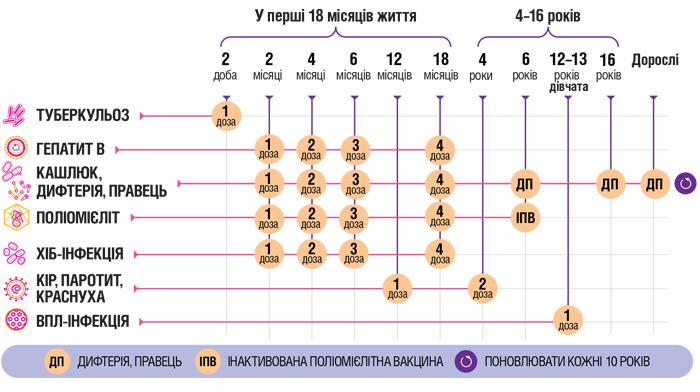 Календар профілактичних щеплень 2026